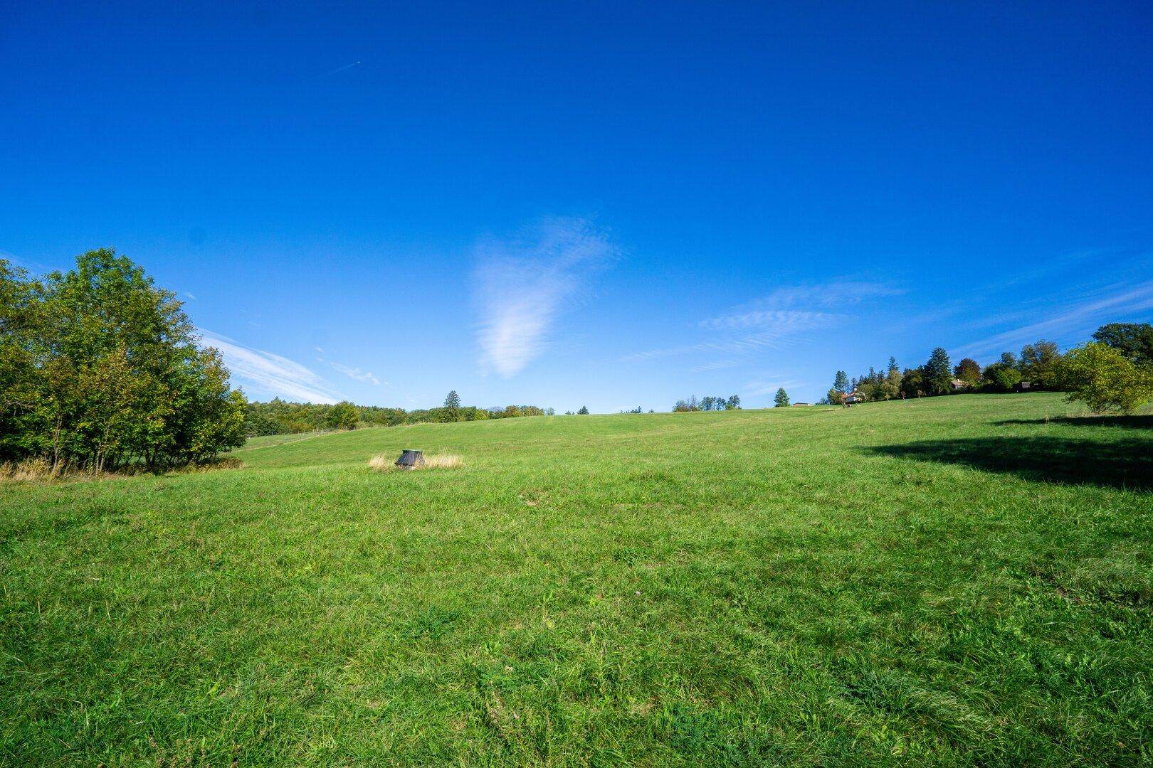 Ausgedehnte grüne Wiesenlandschaft unter einem weiten blauen Himmel mit leichten Wolken.