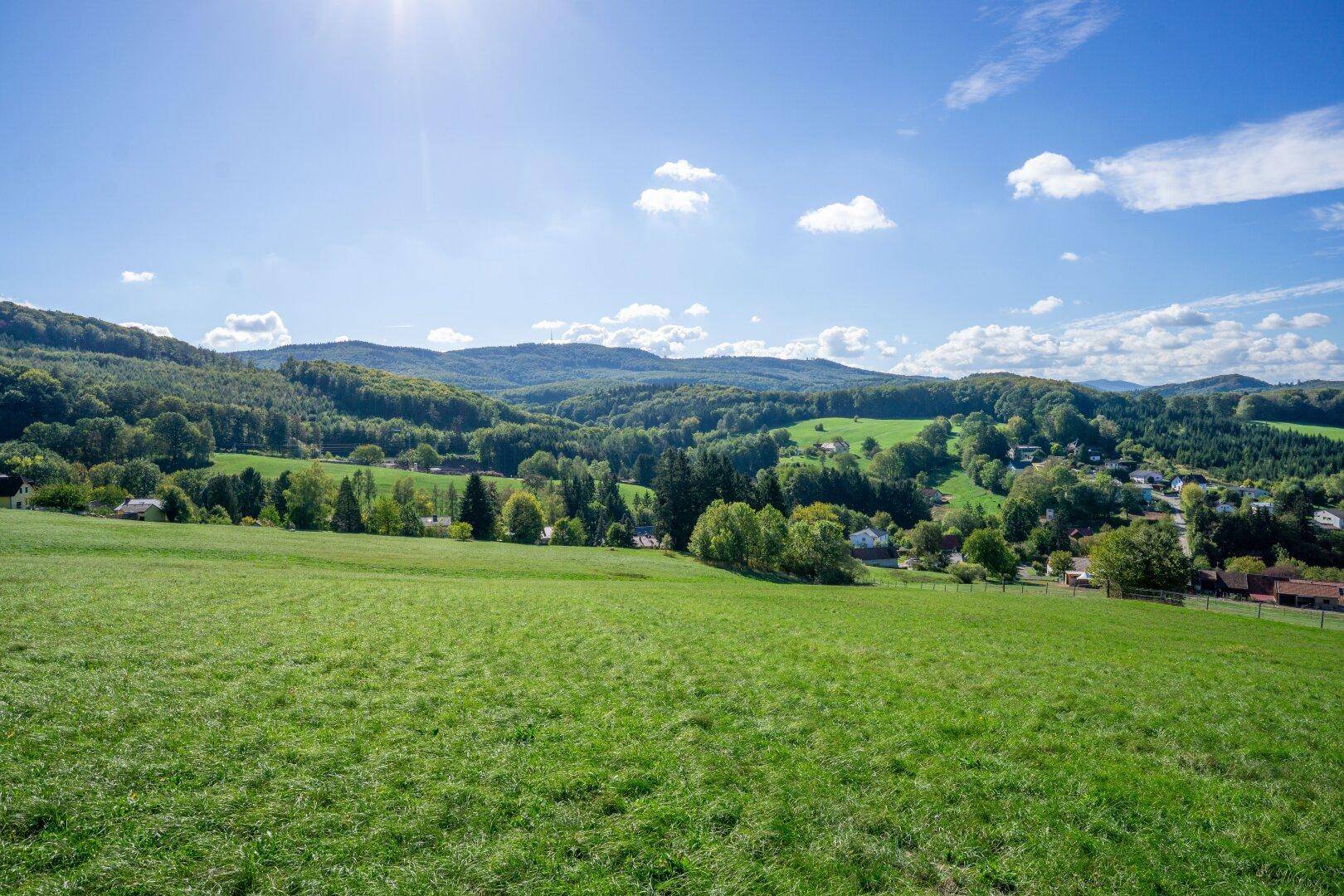 Panoramablick über eine hügelige grüne Landschaft mit Wäldern, Häusern und Bergen im Hintergrund.