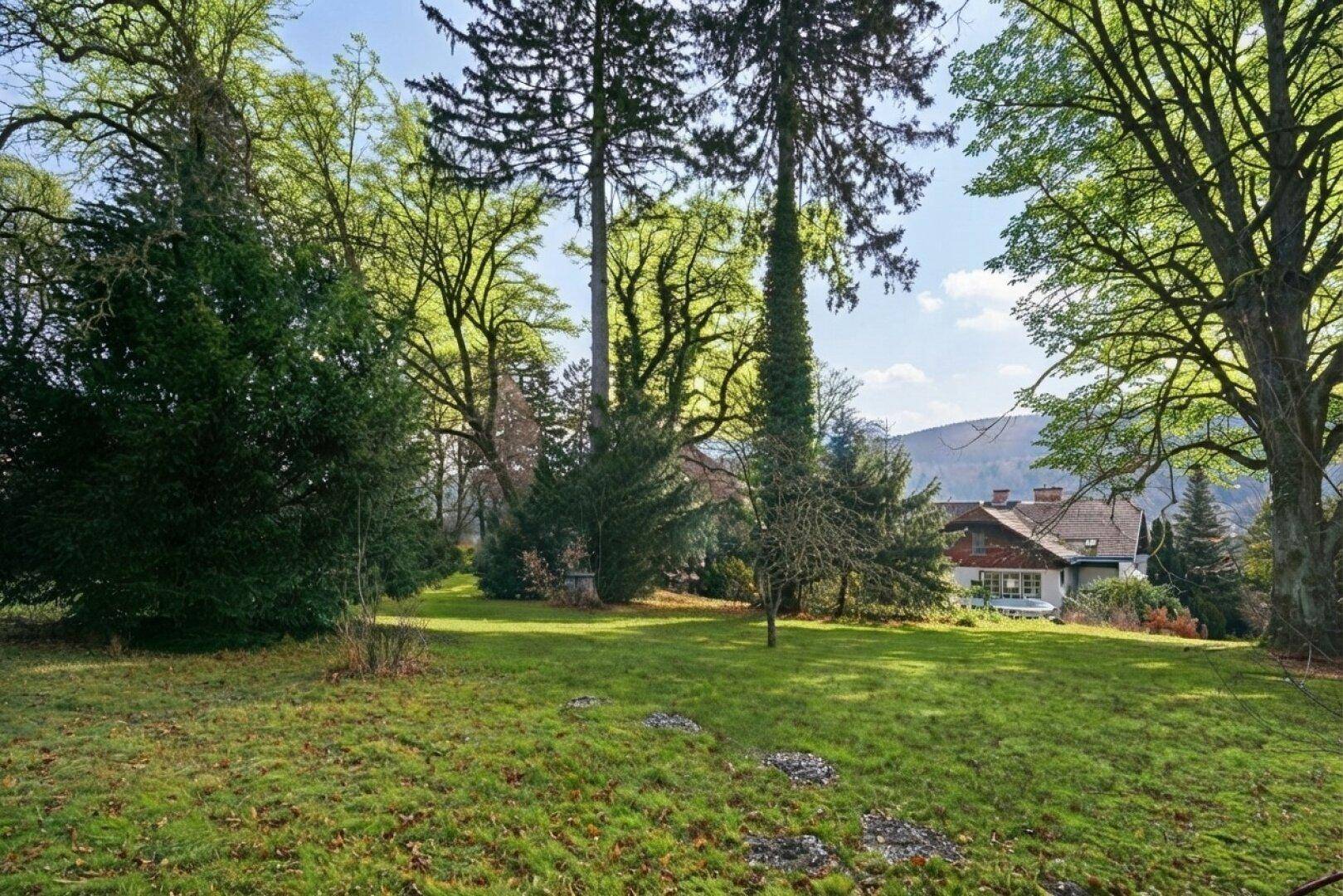 Idyllischer Garten mit hohen Bäumen und einem Blick auf ein entferntes Gebäude in der Landschaft.