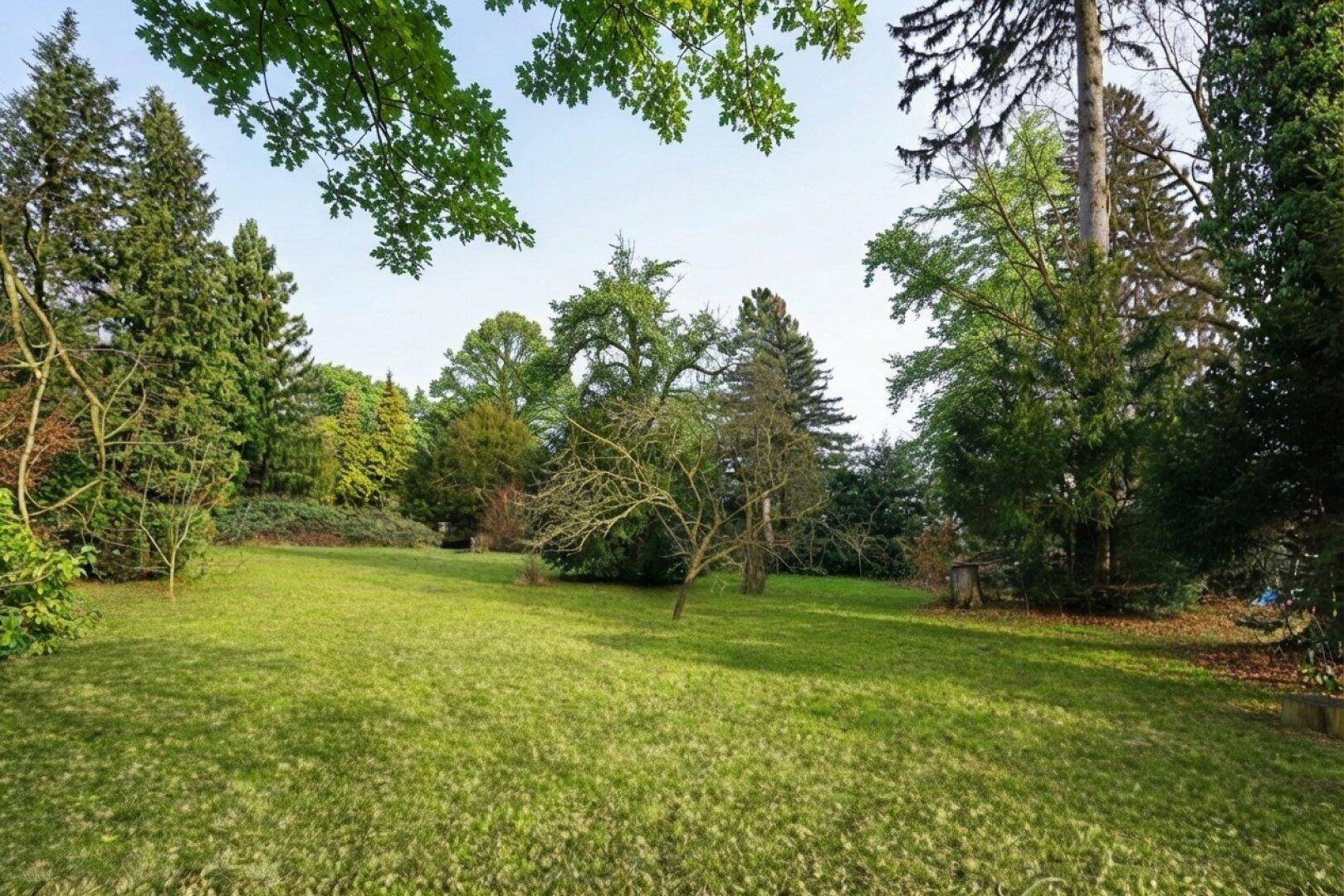 Großer, gepflegter Garten mit Rasenflächen und vielfältigem Baumbestand unter blauem Himmel.