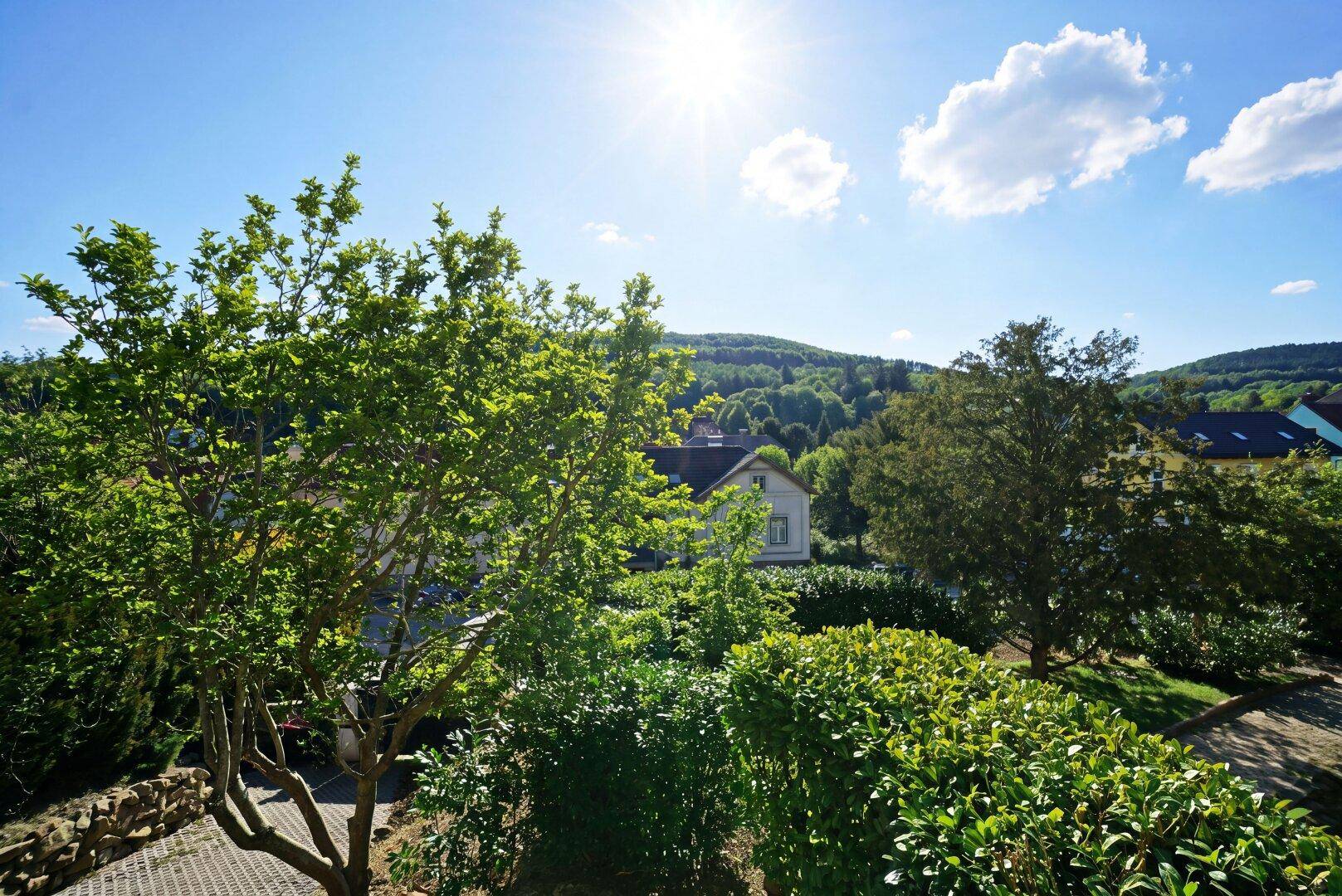 Sonniger Ausblick über grüne Hügel und Bäume mit einem Haus im Hintergrund.