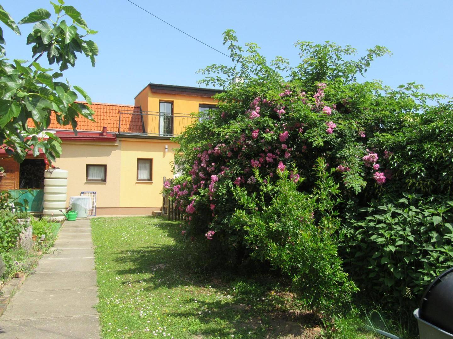 21 Garten 2