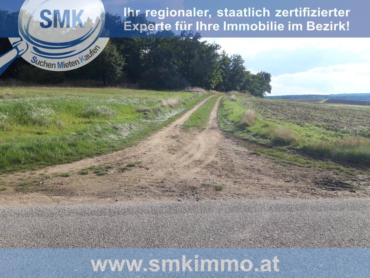 Slide 12