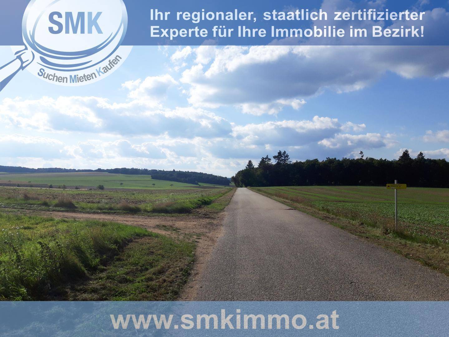 Slide 11