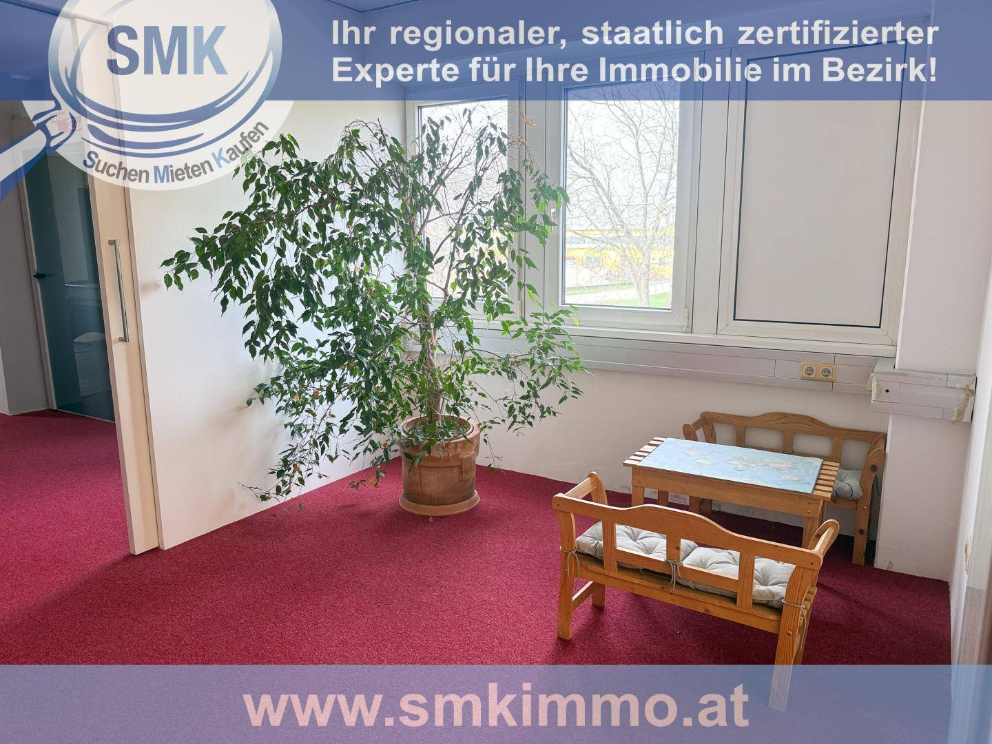 Gemütliche Ecke im Bürobereich mit rotem Teppichboden, großer Pflanze und kleinen Holzbänken.