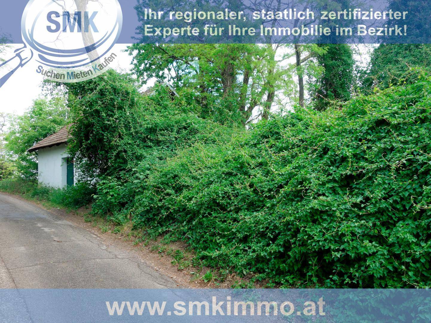 Landstraße neben einer dichten grünen Hecke, mit einem kleinen Gebäude im Hintergrund.