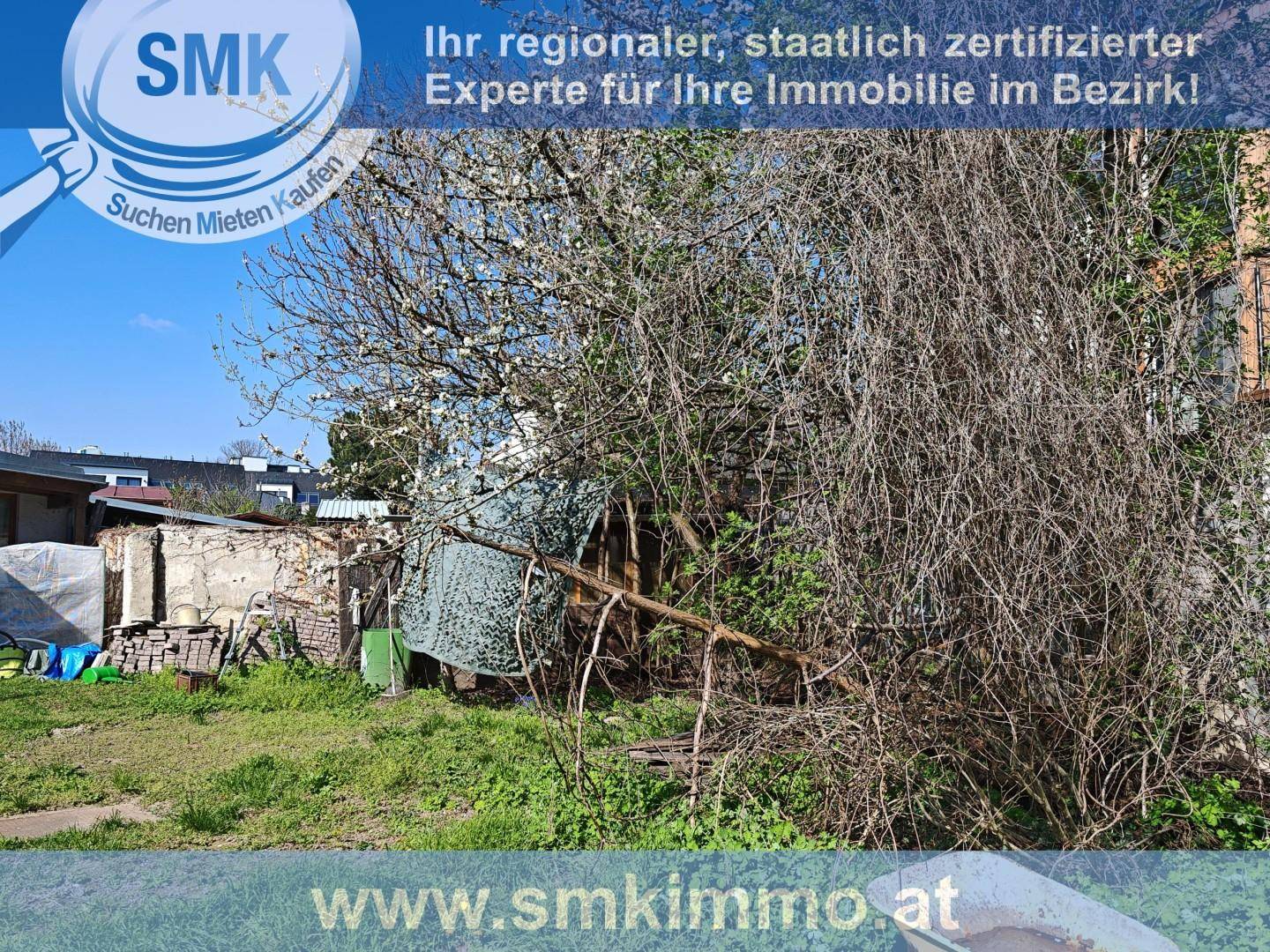 Gartenbereich mit überwucherten Sträuchern, einem Schuppen und viel Grün.