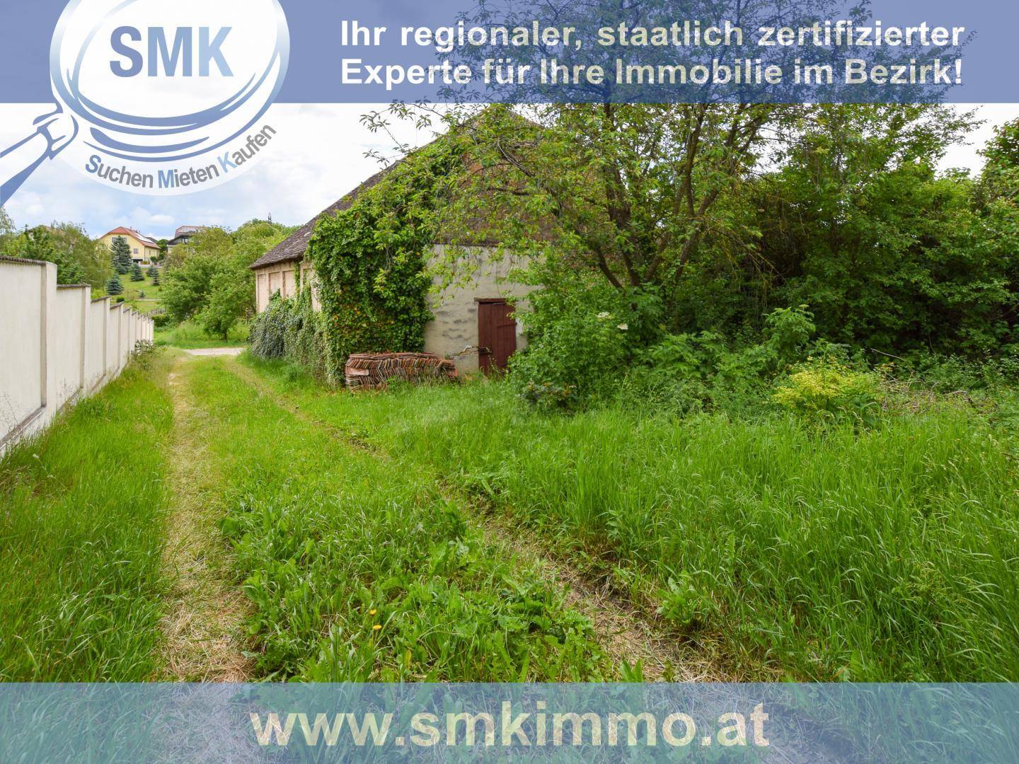 Überwucherter Gartenbereich mit hohem Gras, Bäumen und einem von Efeu bewachsenen Gebäude.
