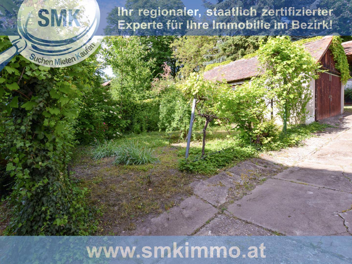 Naturbelassener Gartenbereich mit viel Grün, Bäumen und einem kleinen Schuppen im Hintergrund.