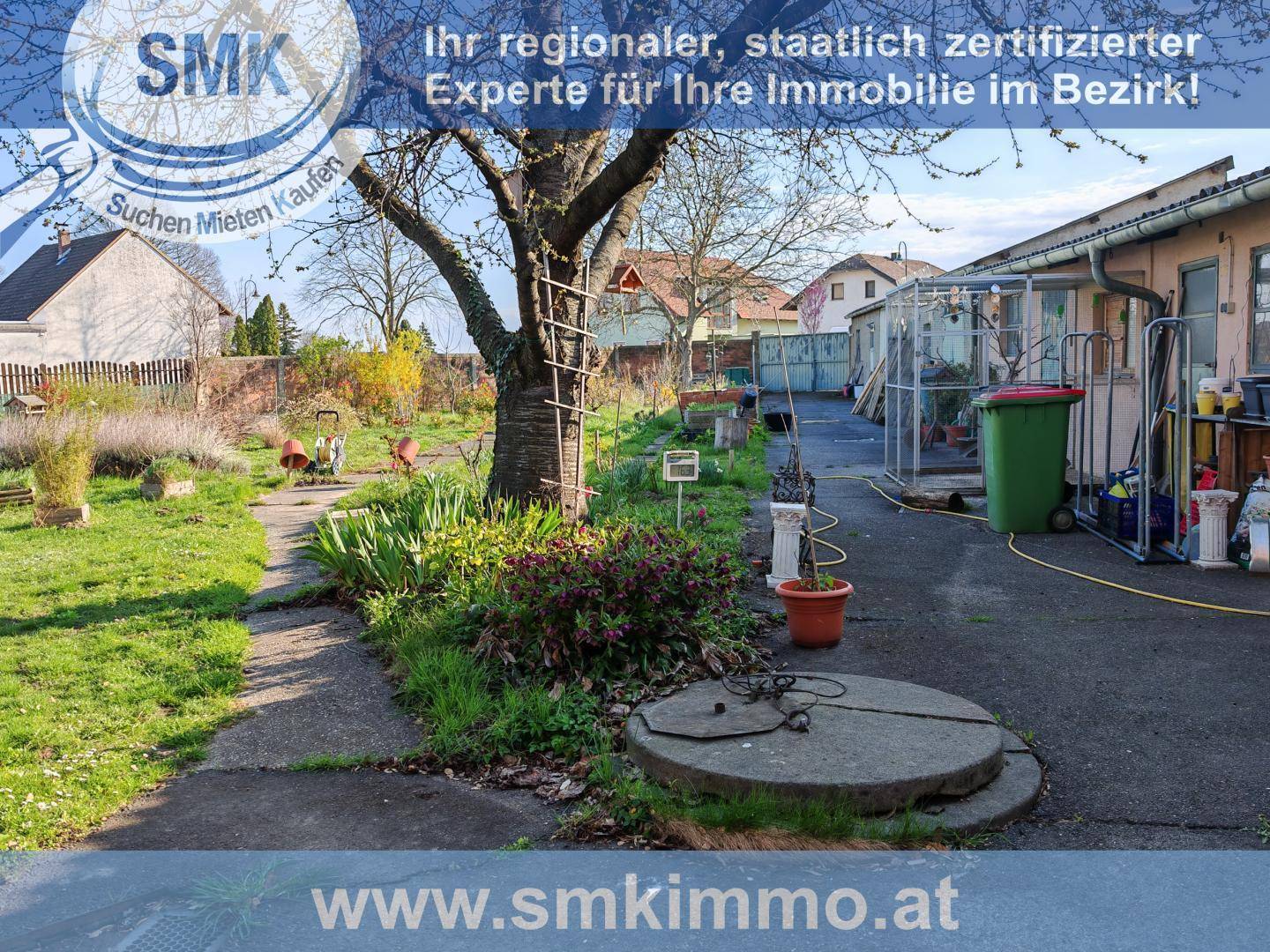 Gartenansicht mit einem großen Baum, verschiedenen Pflanzen und einem Betonweg im Vordergrund.