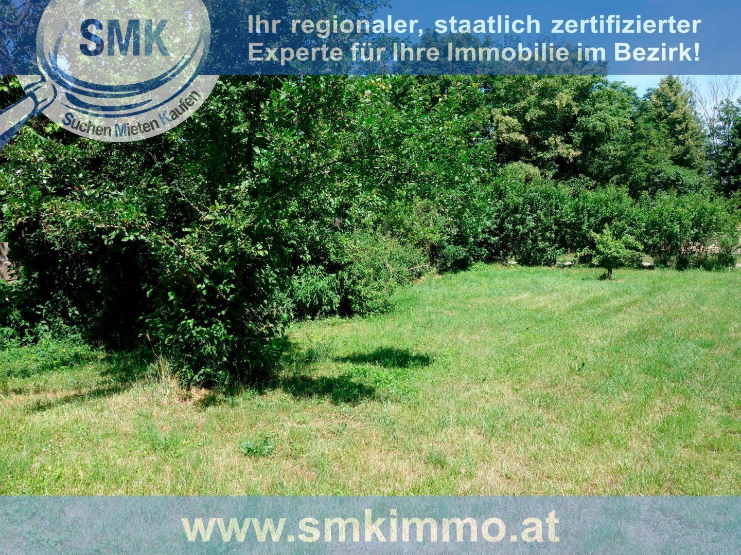 Großer, offener Gartenbereich mit üppigem Grün und Bäumen, bietet viel Platz und Privatsphäre.