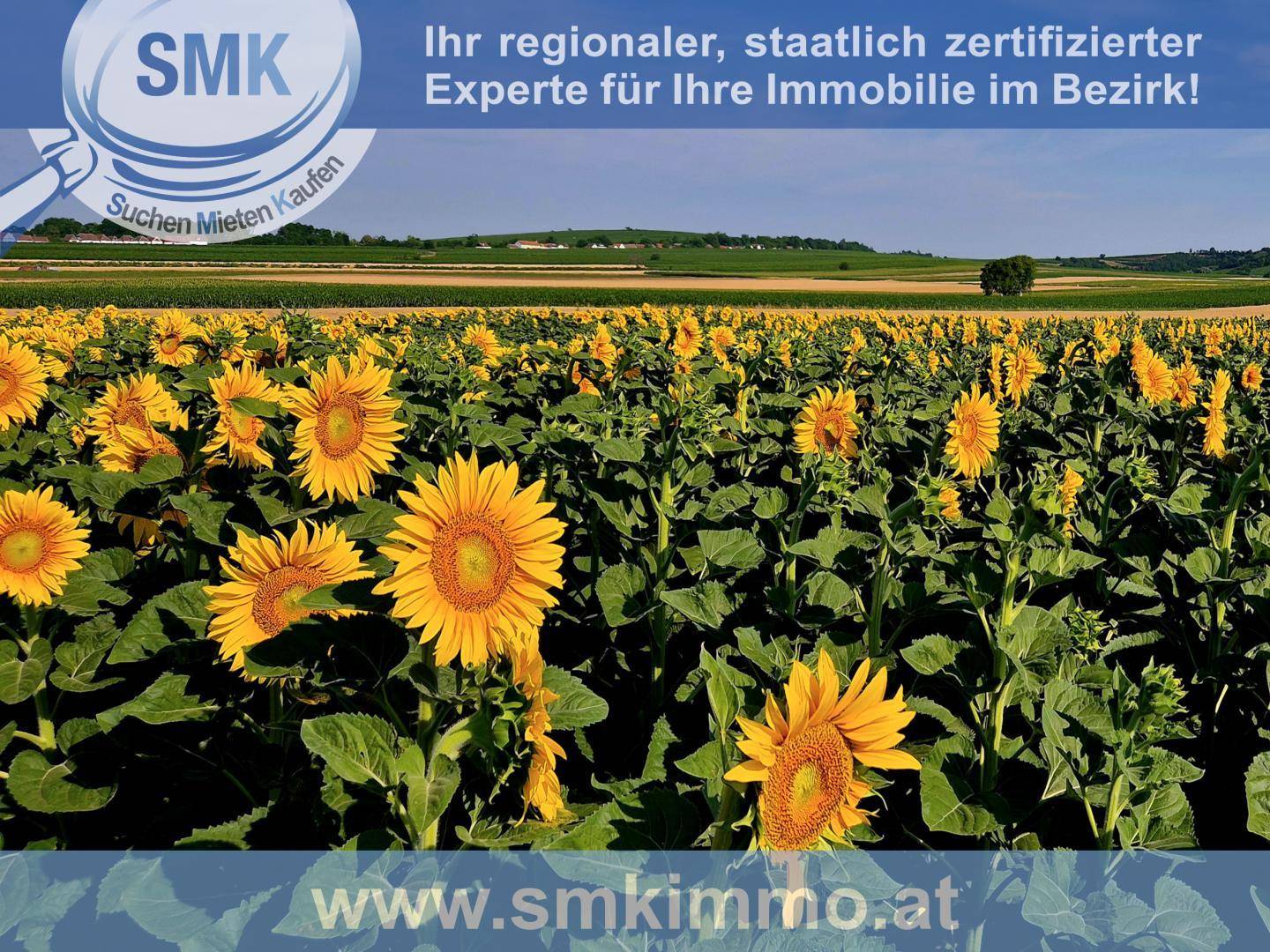Sonnenblumenfeld unter strahlendem Himmel, das eine weite ländliche Landschaft zeigt.
