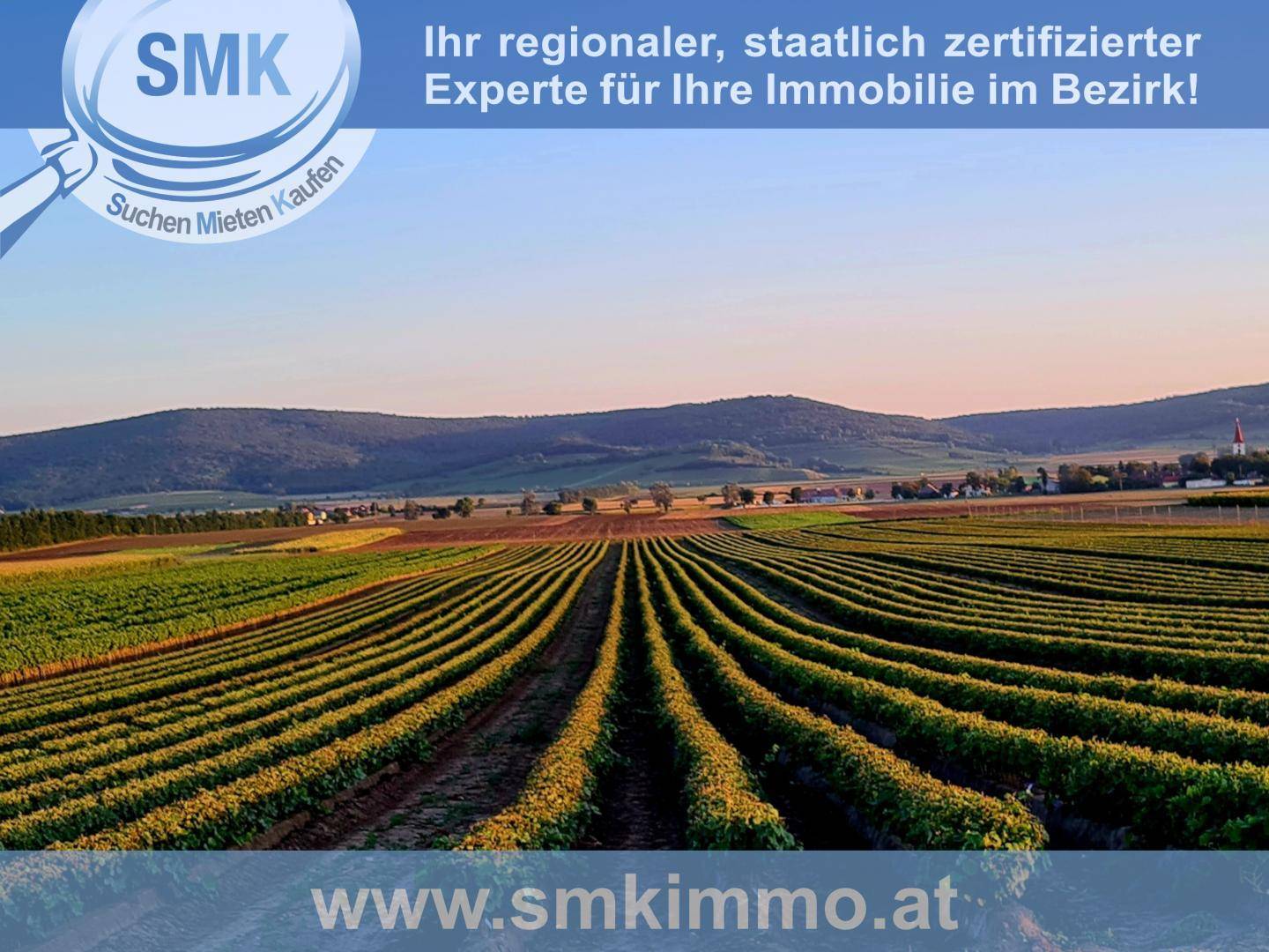 Weitläufige Weinberge in Reihen bei Sonnenuntergang mit sanften Hügeln im Hintergrund.