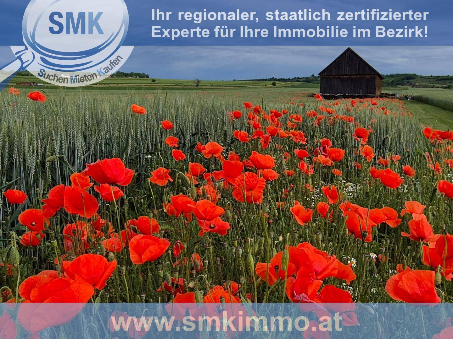 Mohnblumenfeld in voller Blüte mit einer Scheune im Hintergrund unter weitem Himmel.
