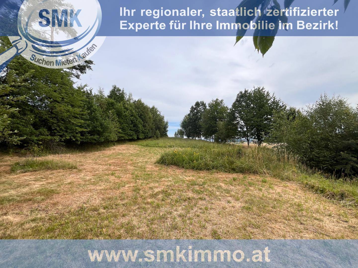 Weitläufiges, grasbewachsenes Grundstück mit Bäumen am Horizont und offener Landschaft.
