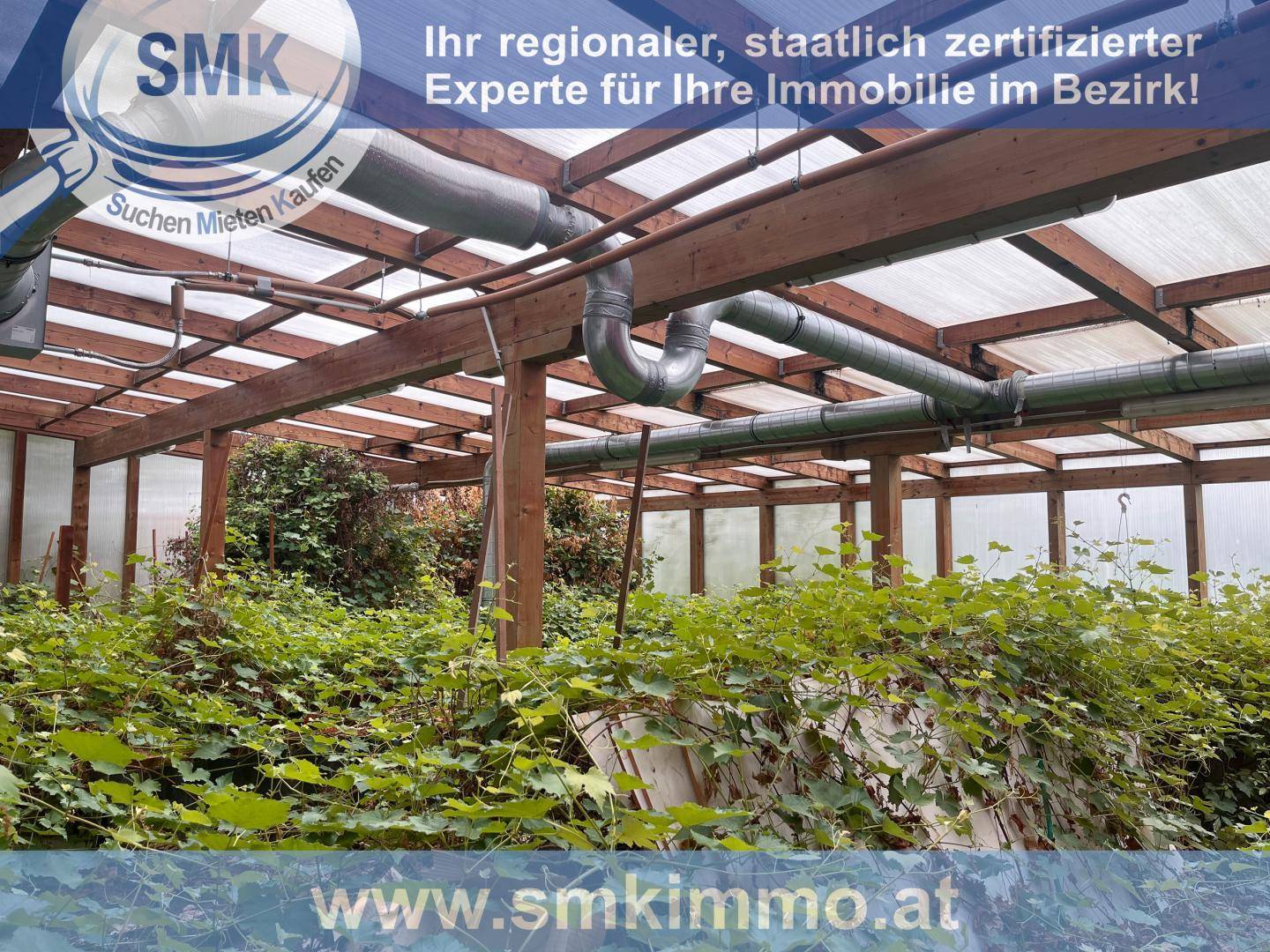 Innenansicht eines Gewächshauses mit Rankpflanzen und sichtbaren Lüftungsrohren.