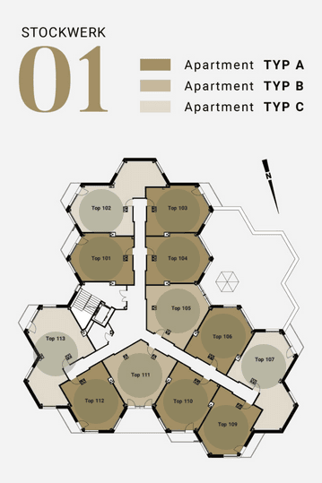Grundriss des ersten Stockwerks mit mehreren hexagonalen Wohneinheiten und Treppenhaus.