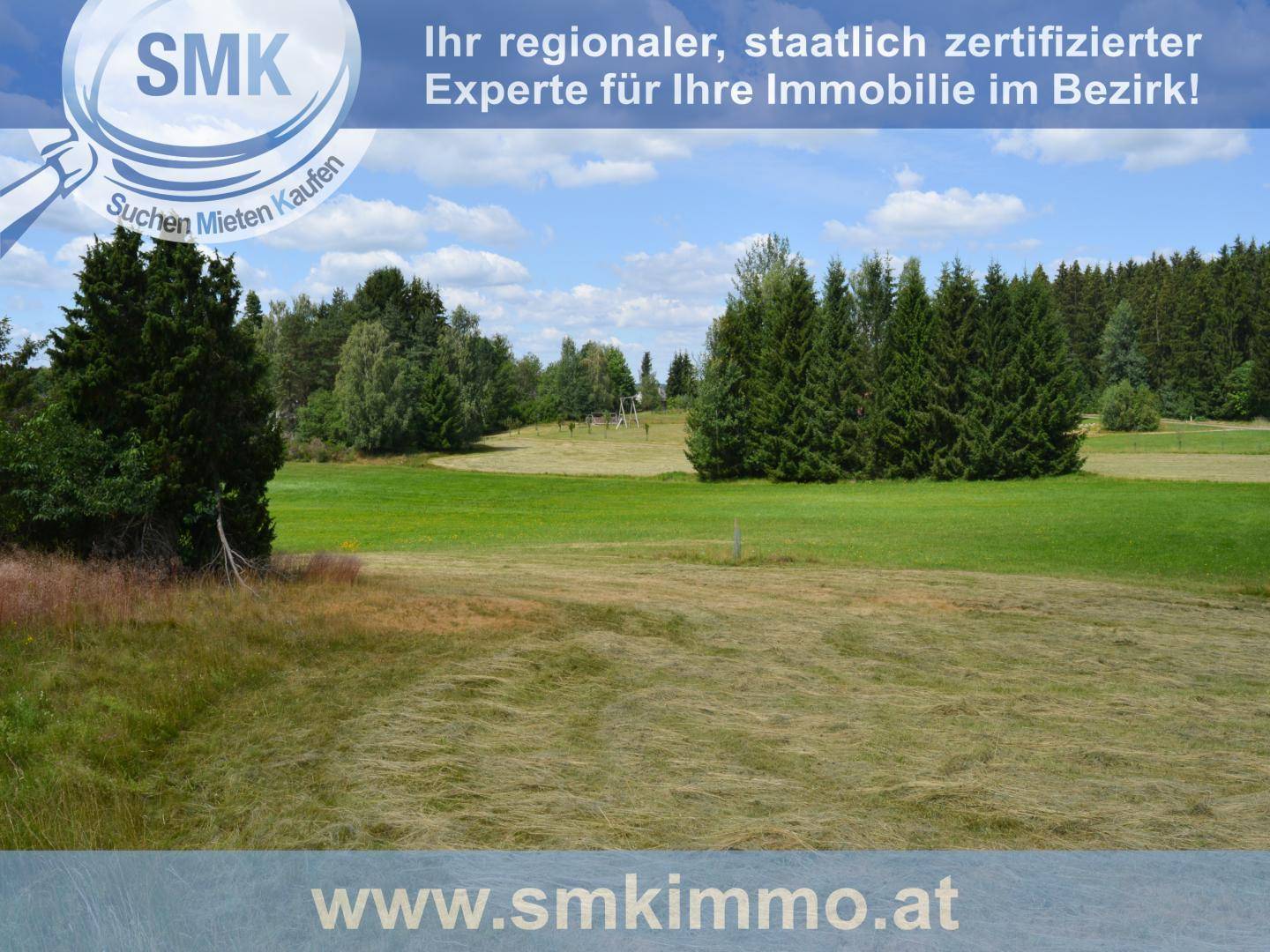 Weitläufiges grünes Feld mit Baumgruppen und einem klaren blauen Himmel im ländlichen Raum.