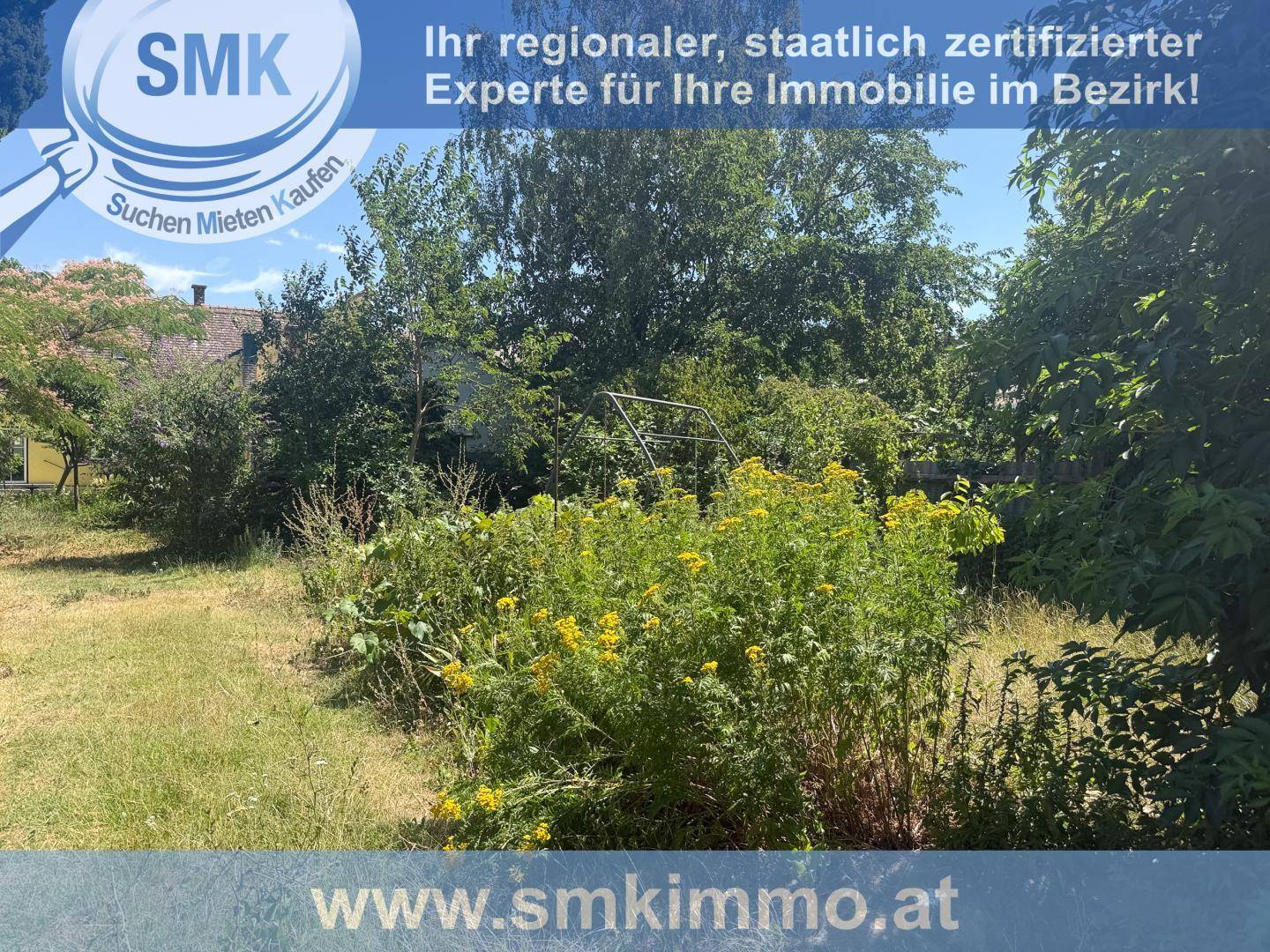 Verwilderter Gartenbereich mit hohen Gräsern, gelben Blumen und verschiedenen Bäumen.