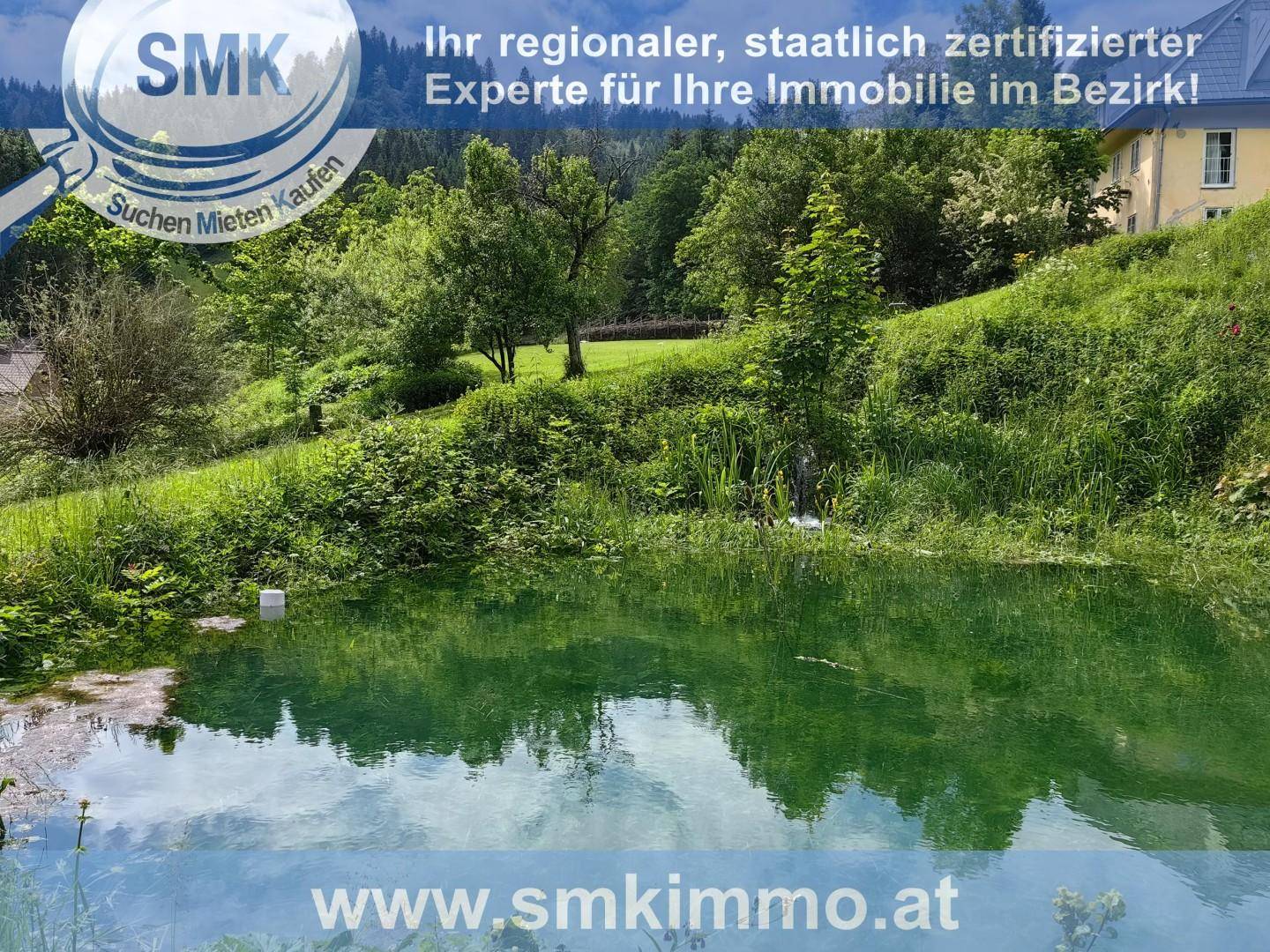 Idyllischer Naturteich mit klarem Wasser, umgeben von grünen Wiesen und Bäumen, in ländlicher Umgebung.