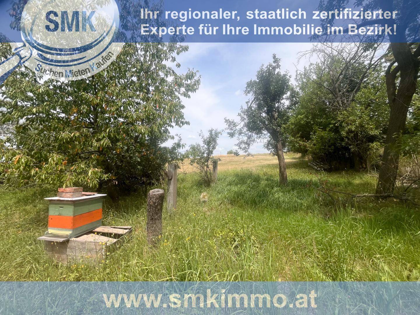 Ländlicher Gartenbereich mit Bäumen, hohem Gras und einem Bienenstock unter blauem Himmel.