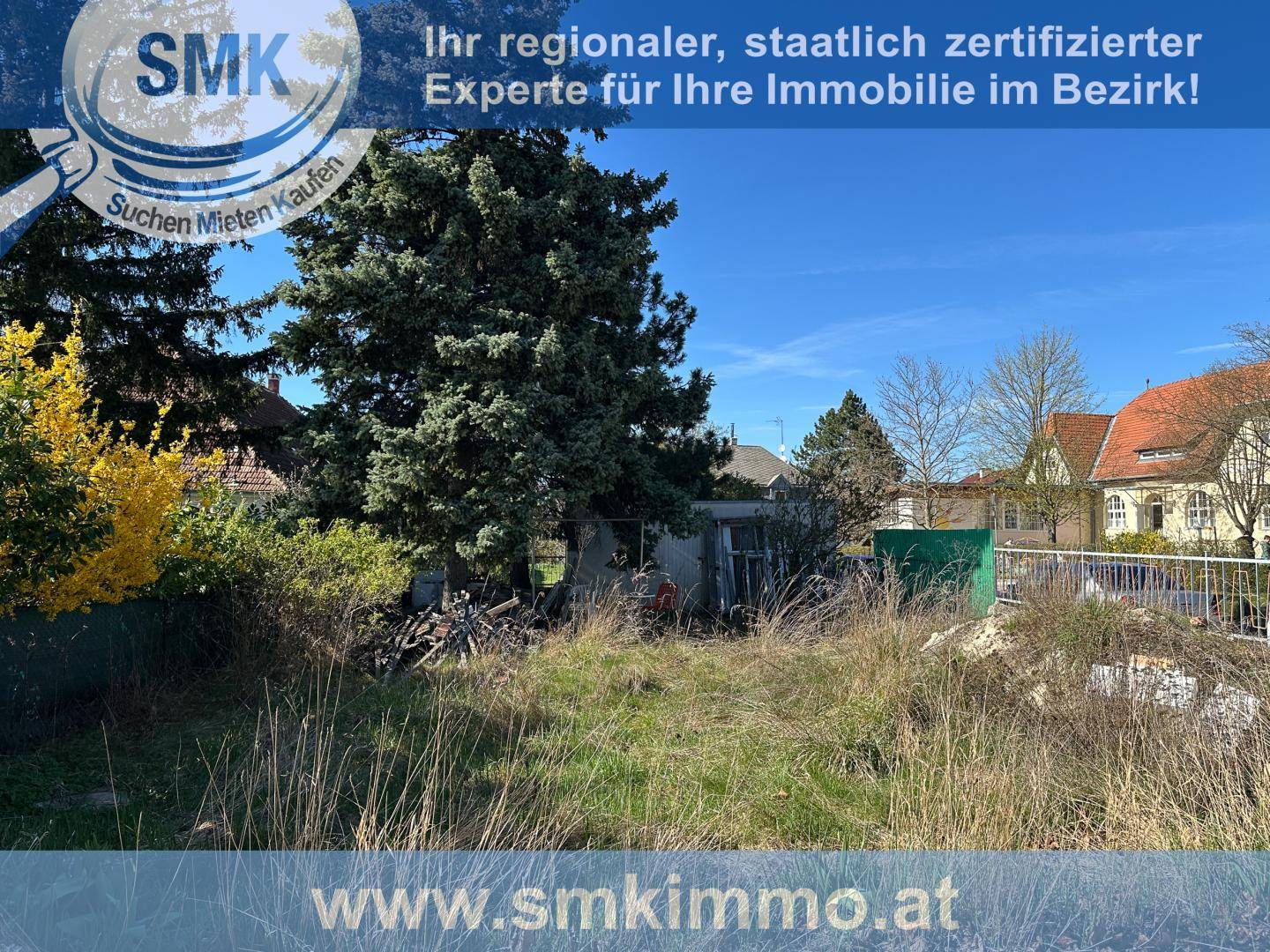 Unbebautes Grundstück mit Bäumen und Sträuchern, bereit für die zukünftige Bebauung.