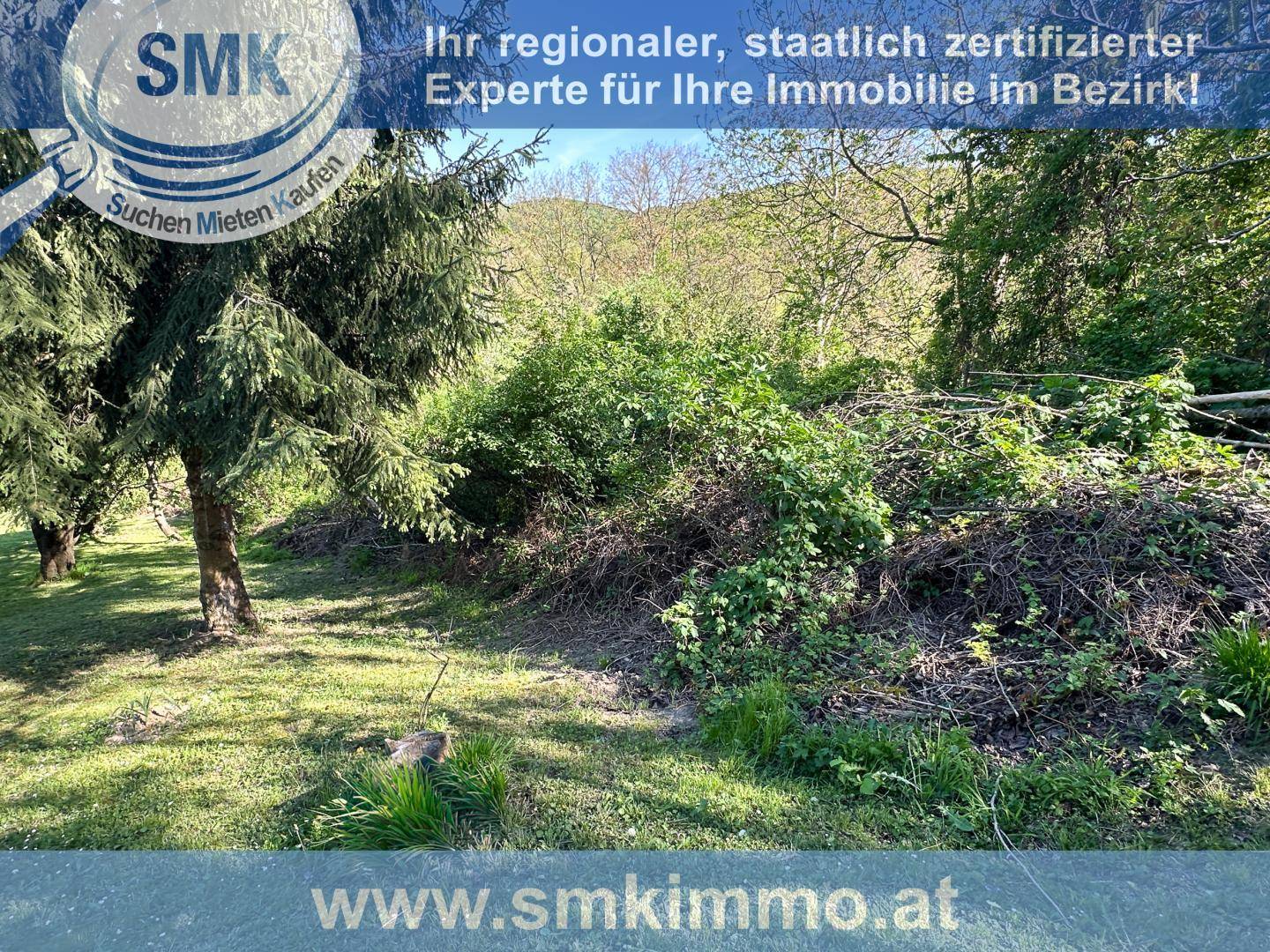 Teilweise geräumtes Grundstück mit Bäumen und Blick auf die hügelige Landschaft im Hintergrund.