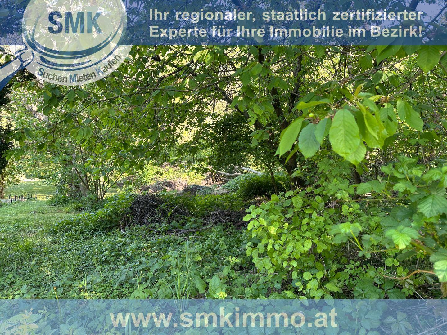 Naturbelassenes Grundstück mit dichtem Grün, Bäumen und Sträuchern in einer ruhigen Umgebung.