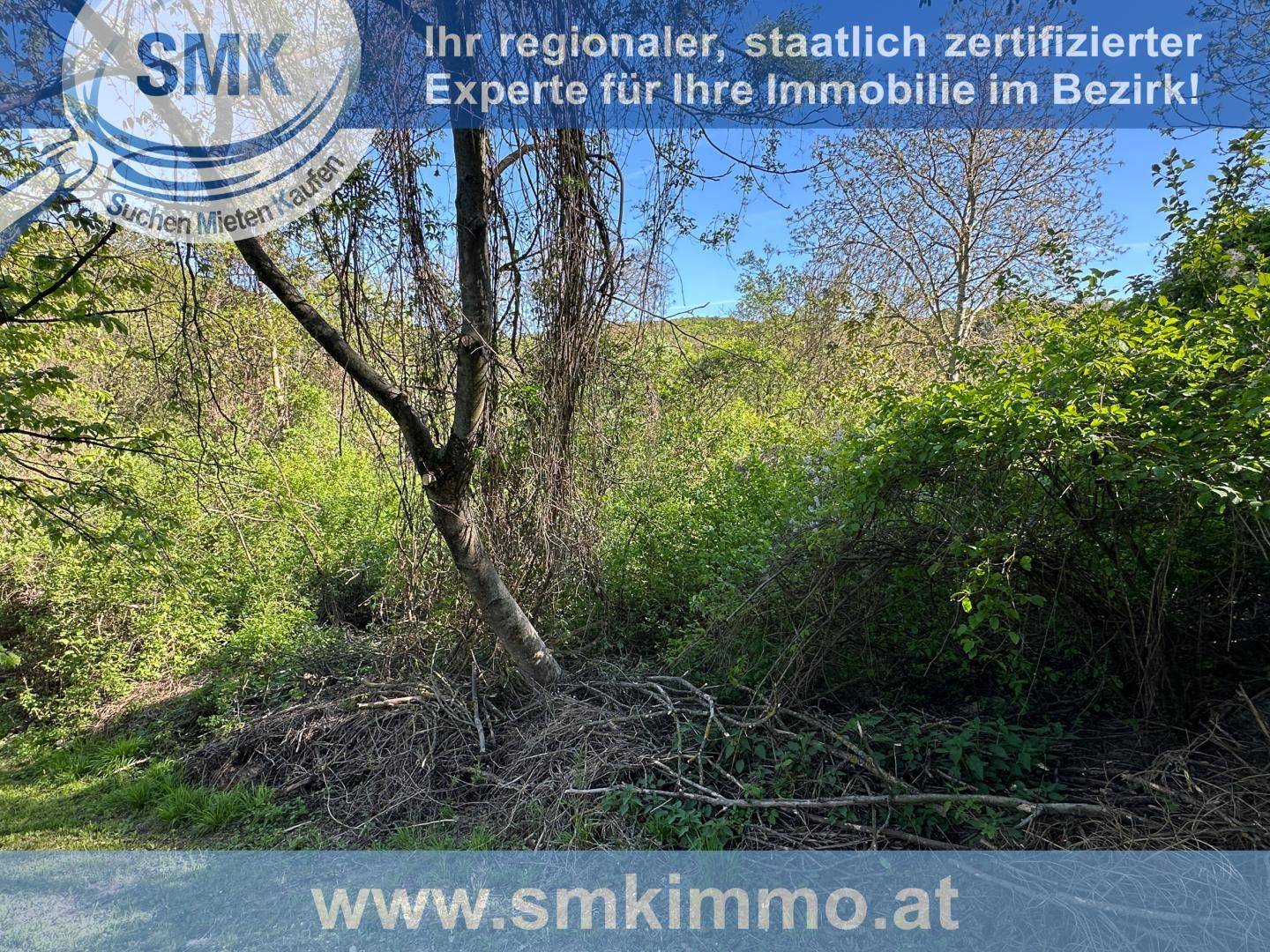 Unberührtes Grundstück mit üppiger Vegetation, Bäumen und Sträuchern unter blauem Himmel.