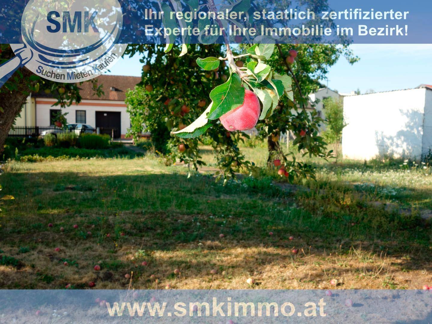 Gartengrundstück mit einem Apfelbaum voller reifer Früchte und ländlicher Umgebung.