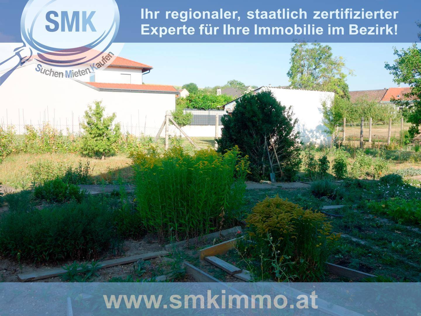 Überwuchertes Gartengrundstück mit verschiedenen Pflanzen und Häusern im Hintergrund.