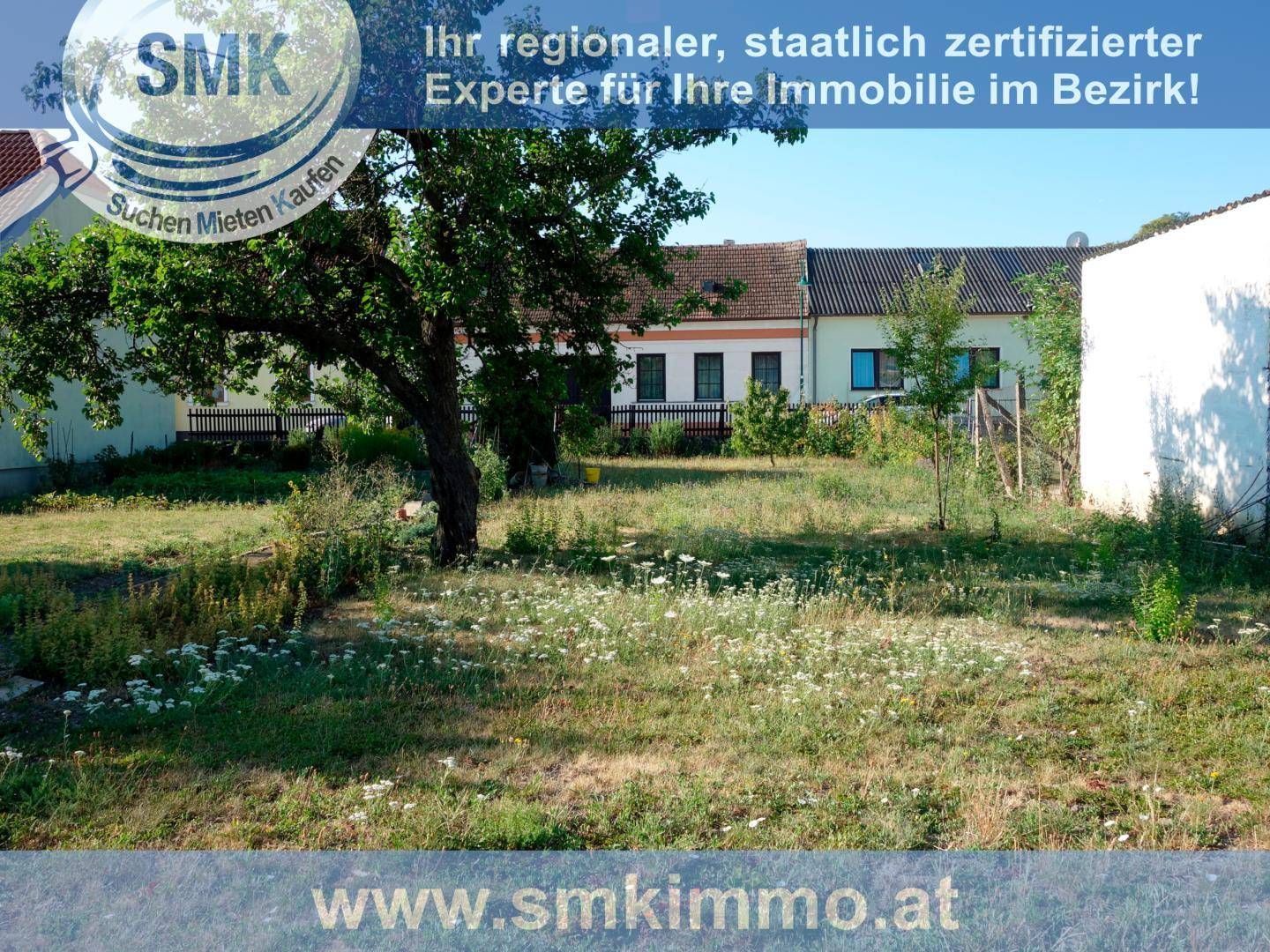 Ungepflegtes Gartengrundstück mit Wildblumen und älteren Häusern im Hintergrund.