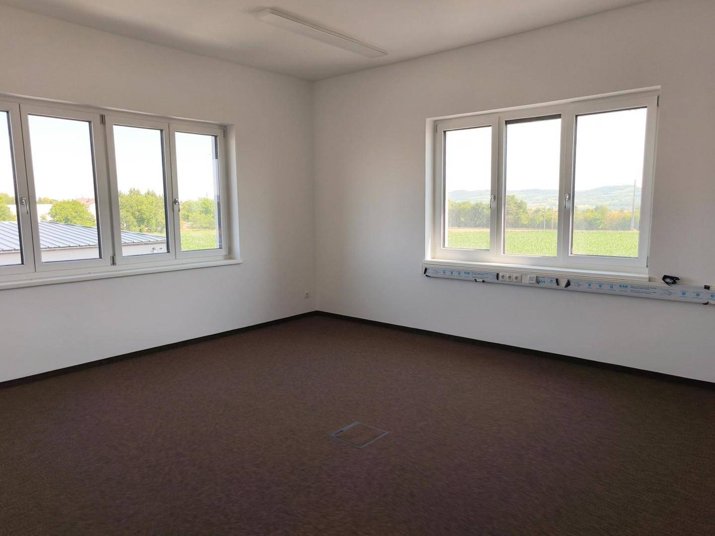 Leeres Büro mit braunem Teppichboden, weißen Wänden und großen Fenstern mit grüner Aussicht.