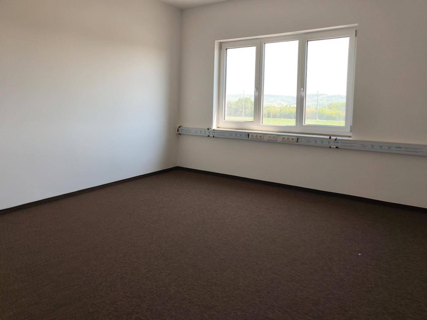Helles Büro mit braunem Teppichboden und einem großen Fenster, das eine weite grüne Aussicht bietet.
