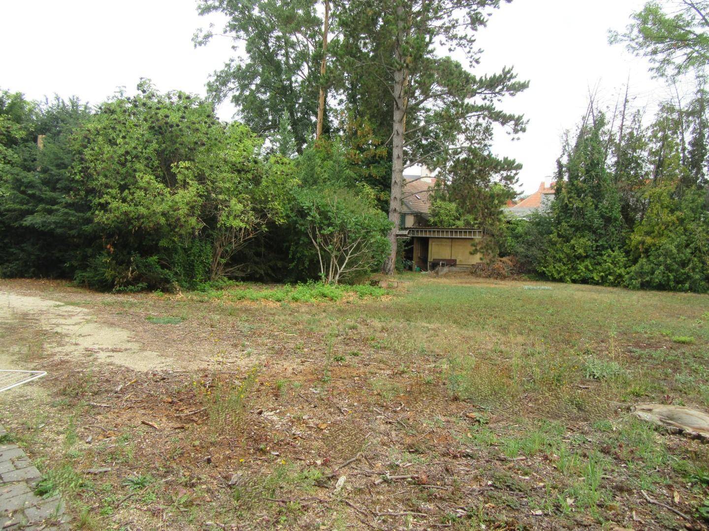 Großer Gartenbereich mit Rasenfläche und altem Baumbestand, umgeben von viel Grün.