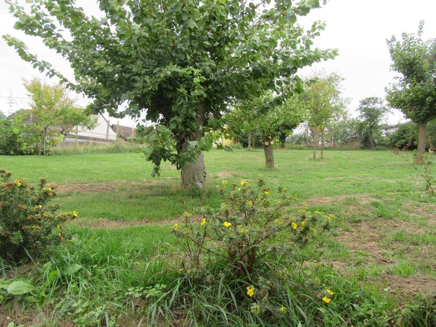15 Garten