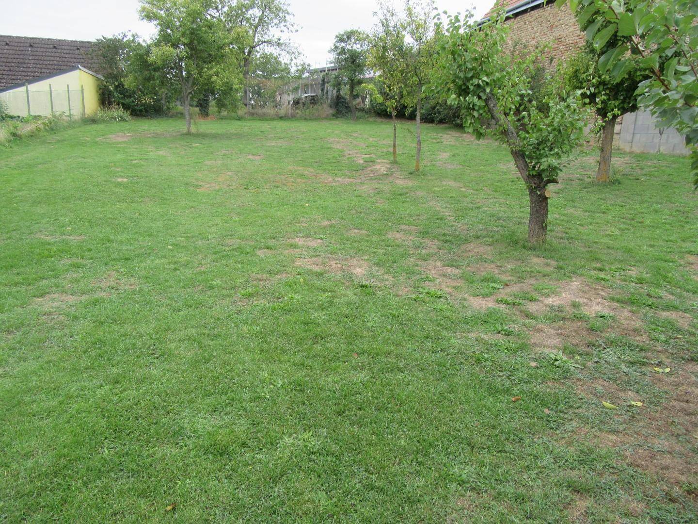 2 Garten