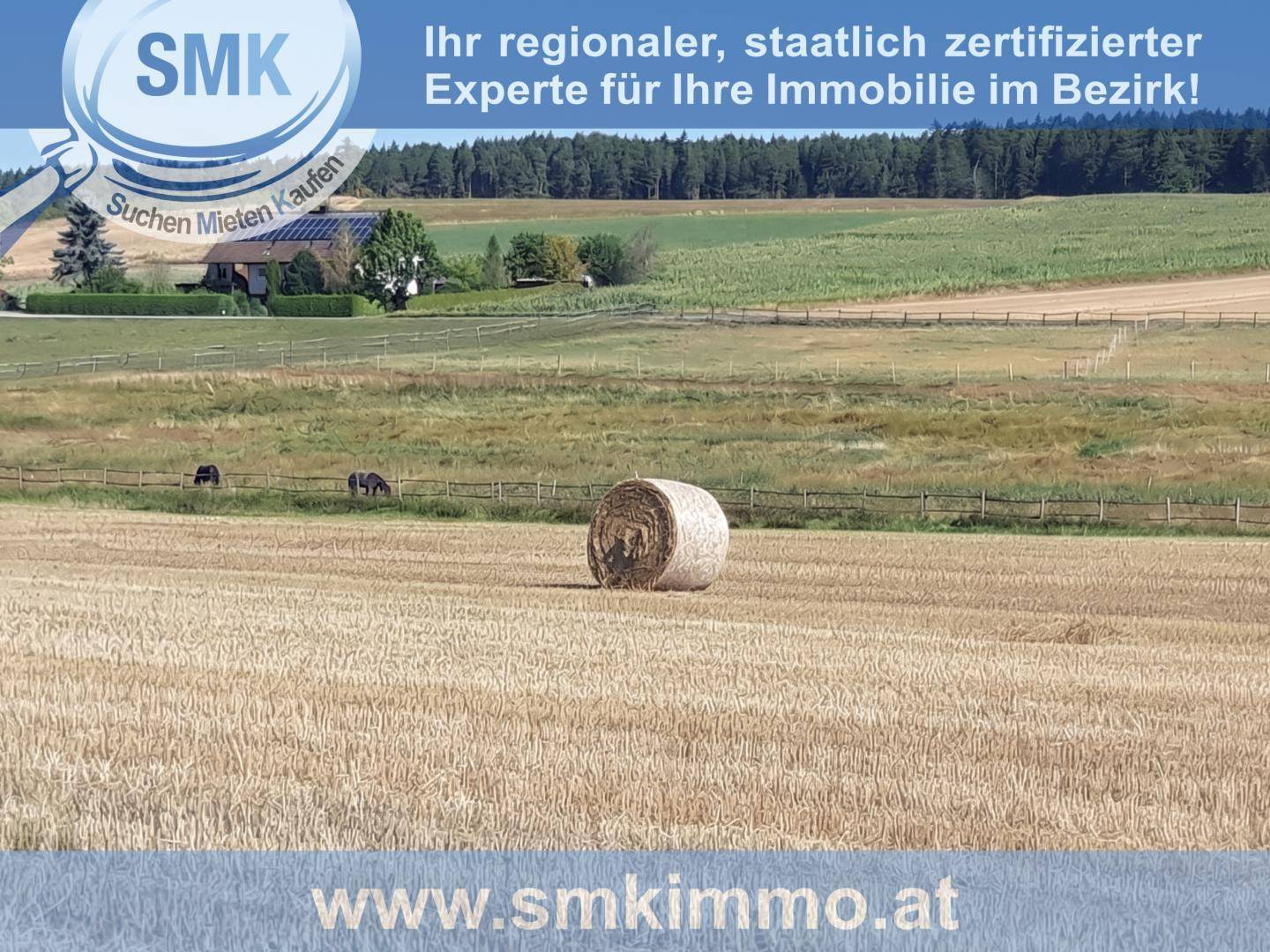 Weites Feld mit Heuballen und ländlicher Bebauung im Hintergrund unter blauem Himmel.