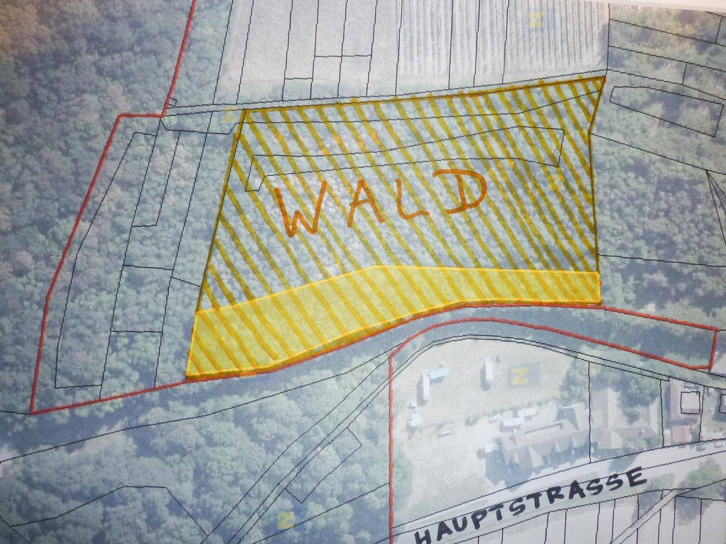 Katasterplan zeigt ein als Wald ausgewiesenes Grundstück nahe einer Hauptstraße.
