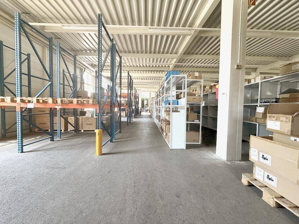 Geräumige Lagerhalle mit hohen Regalen, Betonboden und Kartons auf Paletten.