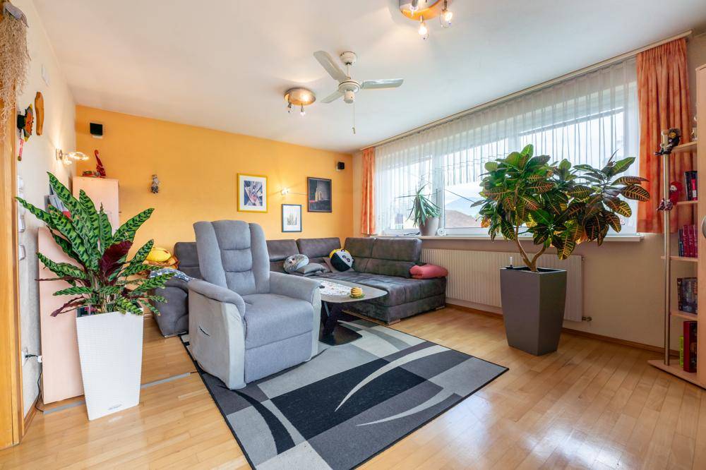 Geräumiges Wohnzimmer mit gelben Wänden, Holzfußboden und Deckenventilator.