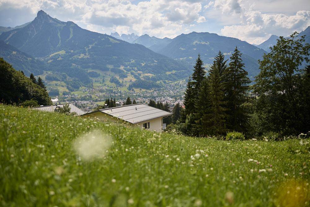 Nahaufnahme einer blühenden Wiese mit einem Haus, einer Stadt und Bergen im Hintergrund unter blauem Himmel.