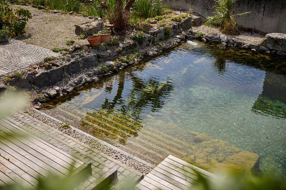 Natürlicher Schwimmteich mit Holzstufen und umgebender Bepflanzung an einem sonnigen Tag.