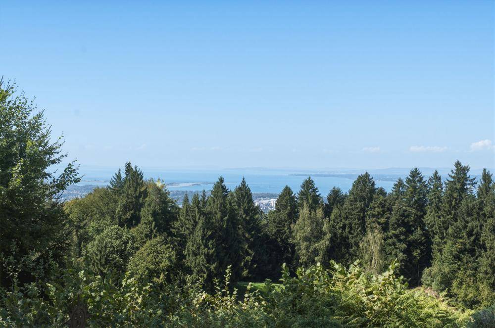 Weiter Blick über dichte Wälder und einen großen See unter klarem blauem Himmel.