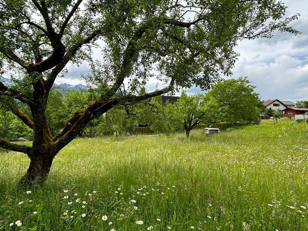 Blick nach Westen