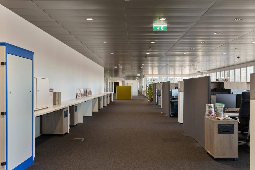 Langer Bürogang mit Teppichboden, Arbeitsplätzen entlang der Wand und Blick in den offenen Bürobereich.