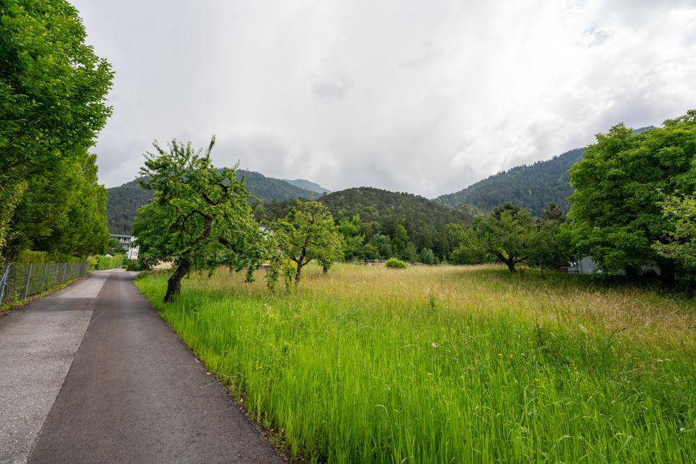 Zufahrt vom Winkelweg zum Grundstück