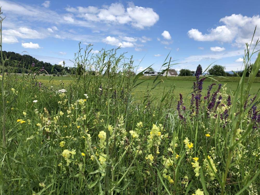 Natur erleben