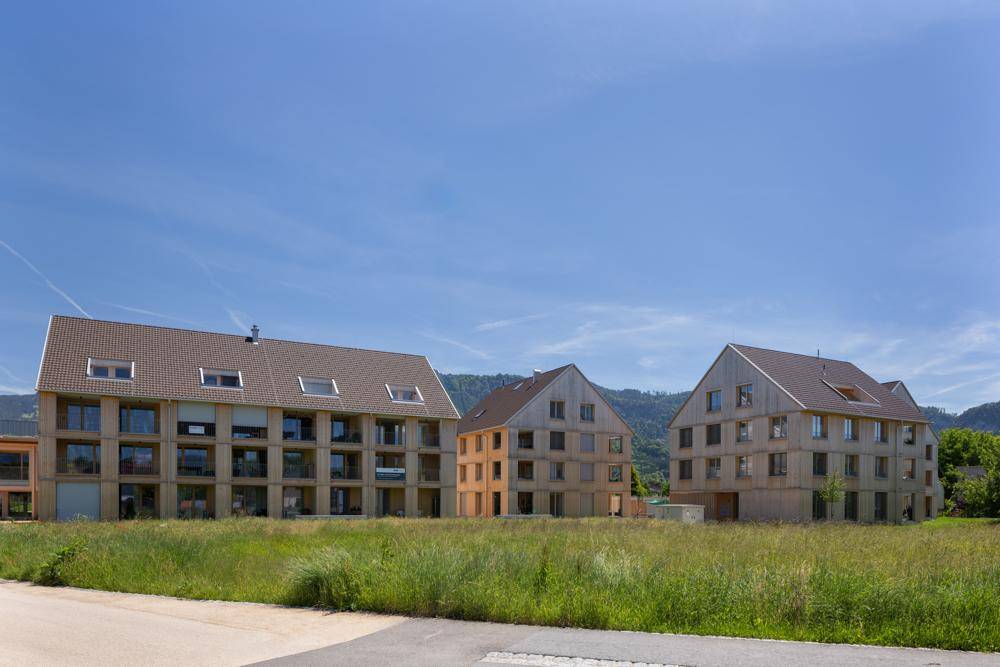 Moderne Neubauten mit Holzfassaden und Satteldächern vor einer malerischen Bergkulisse.