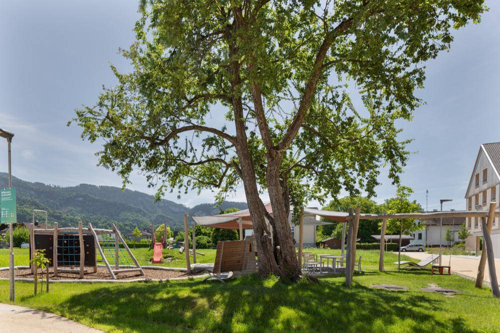 Kinderspielplatz mit Schaukeln, Rutsche und einem großen Baum, umgeben von Grünflächen und Bergen.